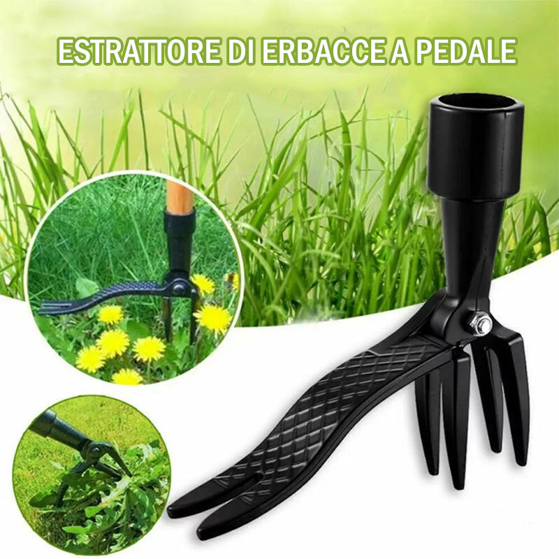 Estrattore di erbacce a pedale