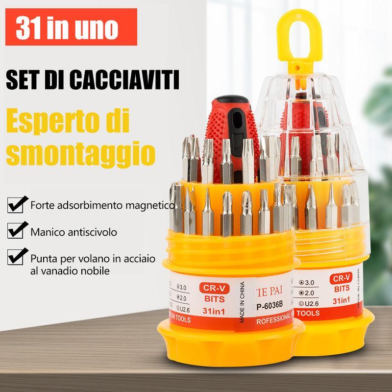 Set di cacciaviti  31 in 1