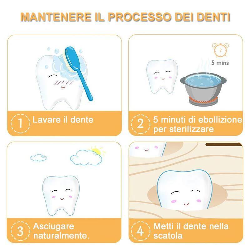 Scatola Per Conservare I Denti Da Latte