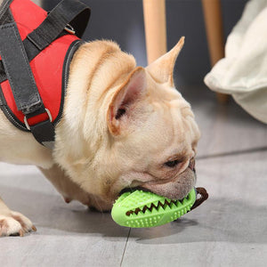 GIOCATTOLO SPAZZOLINO DA DENTI PER CANI