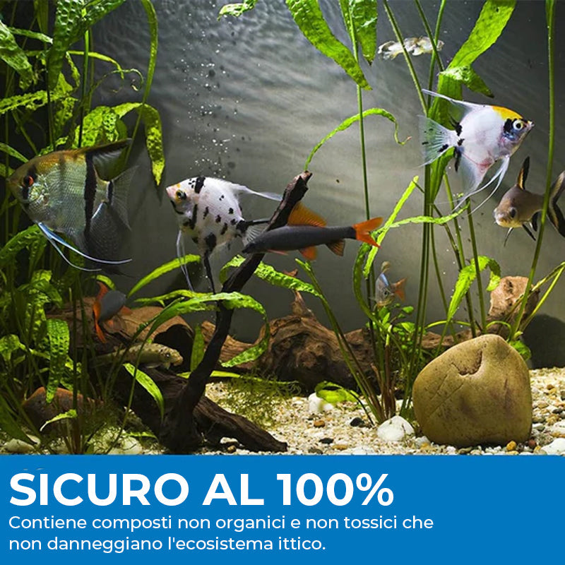 Polvere Detergente Per Acquario