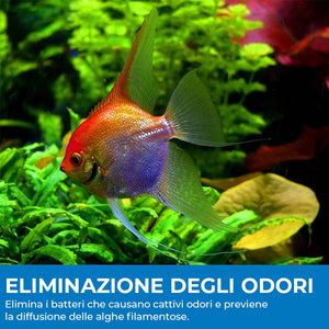 Polvere Detergente Per Acquario