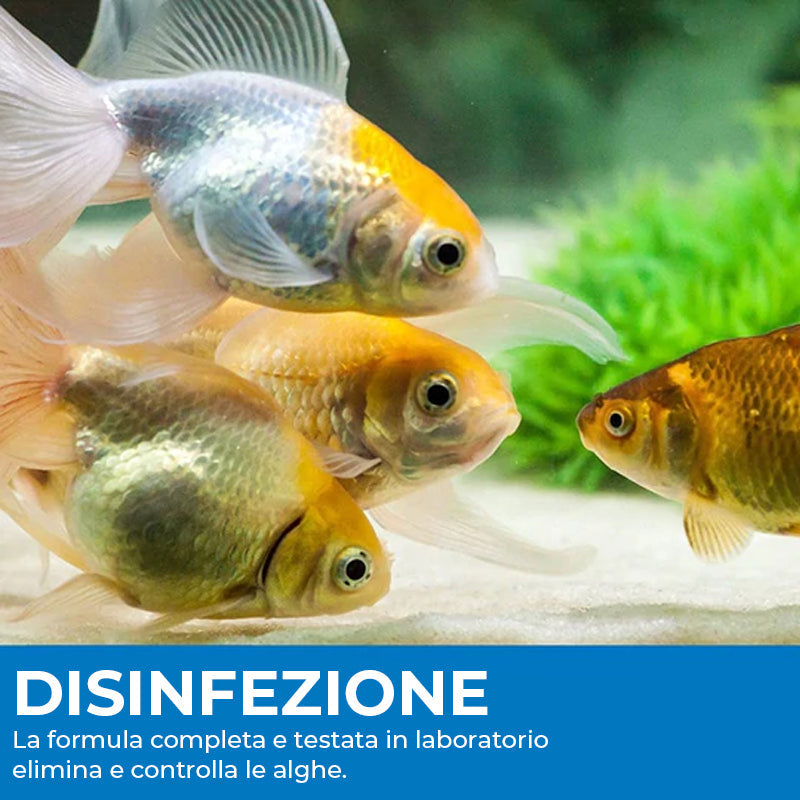 Polvere Detergente Per Acquario