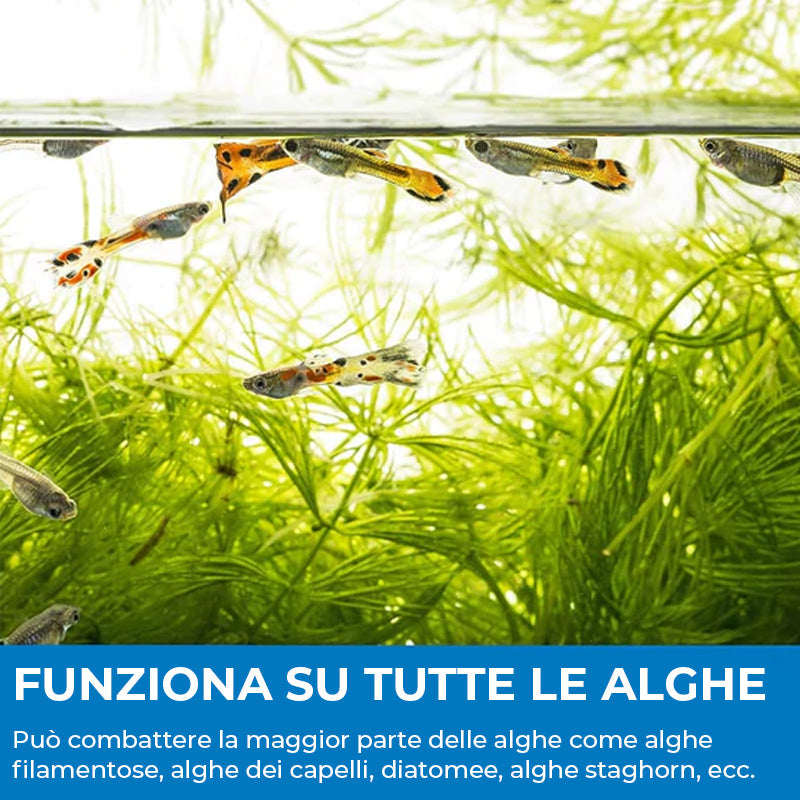 Polvere Detergente Per Acquario